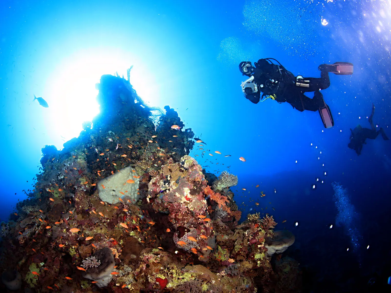 PADI Advanced Open Water Diver Course Hurghada | Egypt Dive