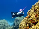 Sidemount Diver Course Hurghada